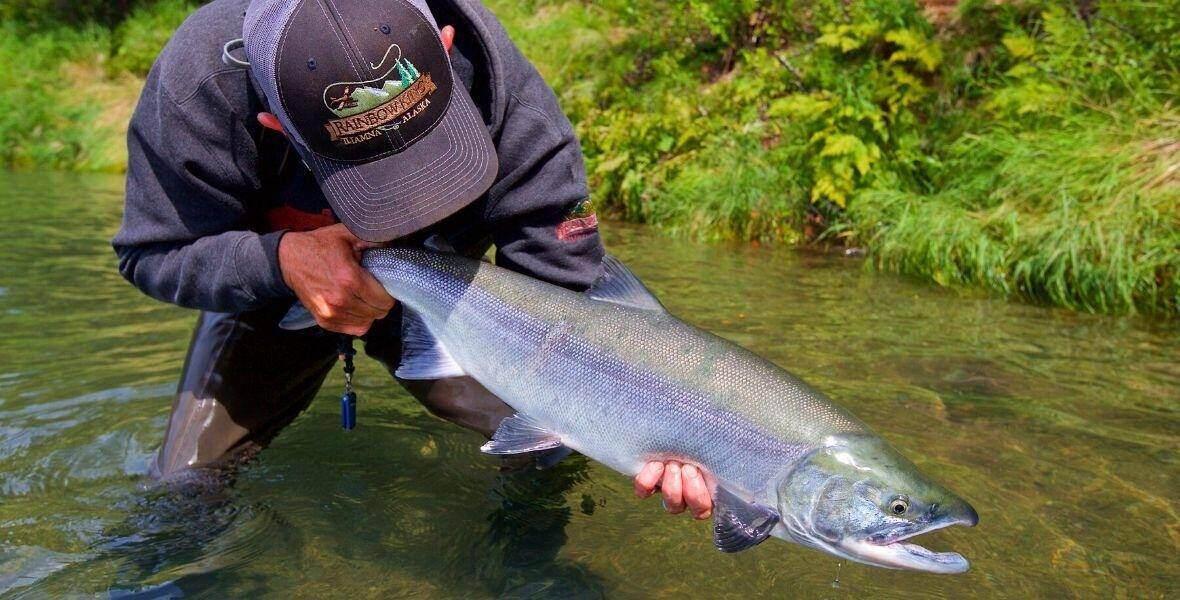 Discover the Best Alaska Sockeye Salmon Fishing